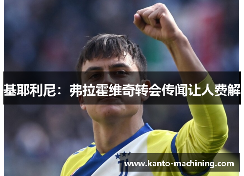 基耶利尼：弗拉霍维奇转会传闻让人费解